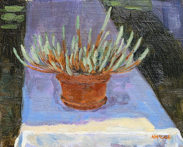 Flower Show Succulent by Nathan McCall