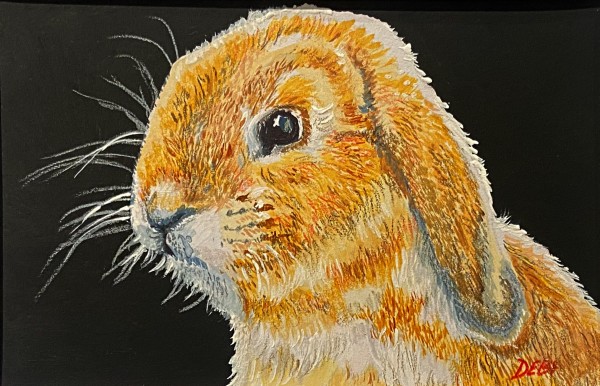 Carrot Please by Debi Davis