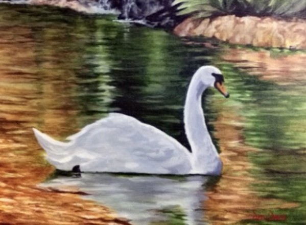 Swan #5 by Debi Davis