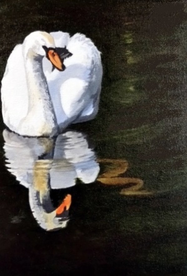 Swan #6