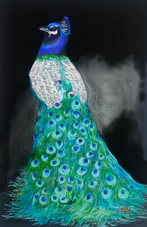 showoff by Debi Davis