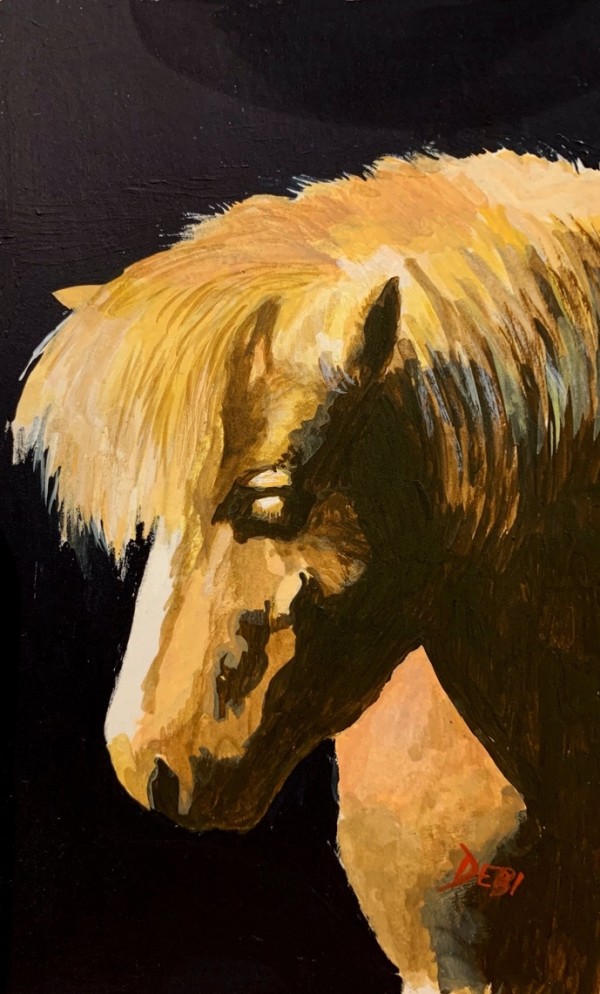Blaze - the Shetland  Pony