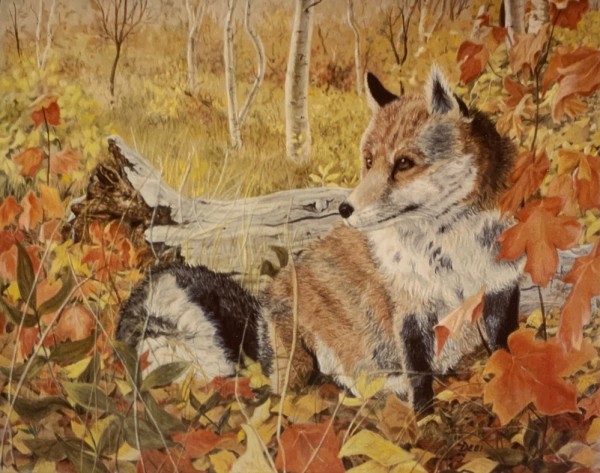 Fox #1 Autumn