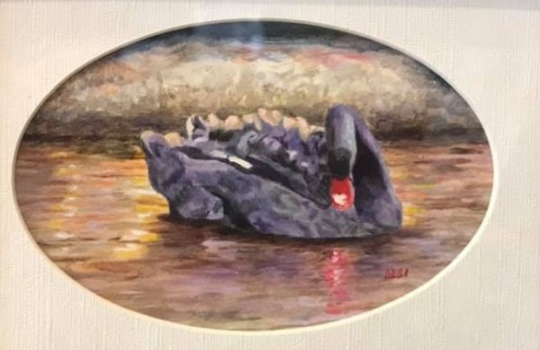 One Black Swan by Debi Davis