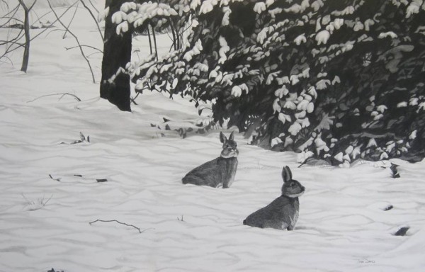 Snow Bunnies by Debi Davis