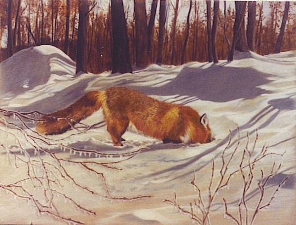 Fox #3 Winter by Debi Davis