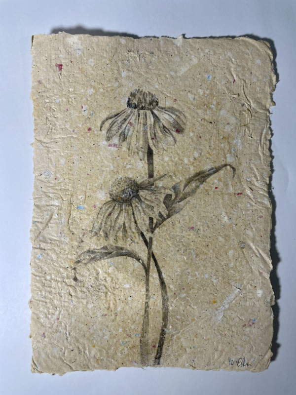 Limited Edition Coneflower Print on Handmade Paper by Brittany Noriega