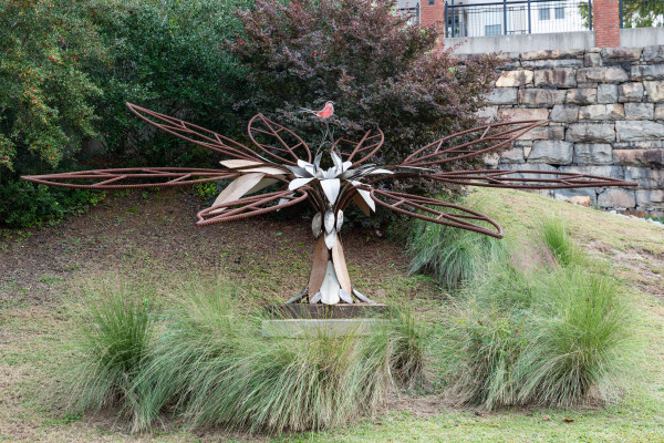Plant by Greg Fitzpatrick