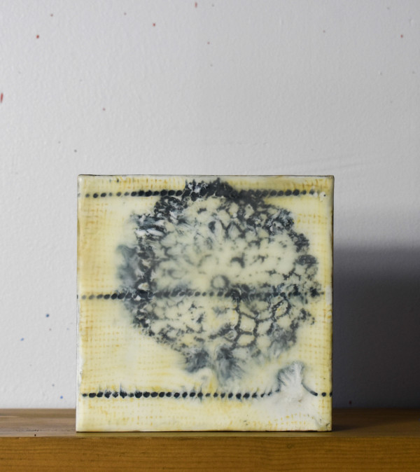Blue with Yellow #7 by Lisa Sweo Eul