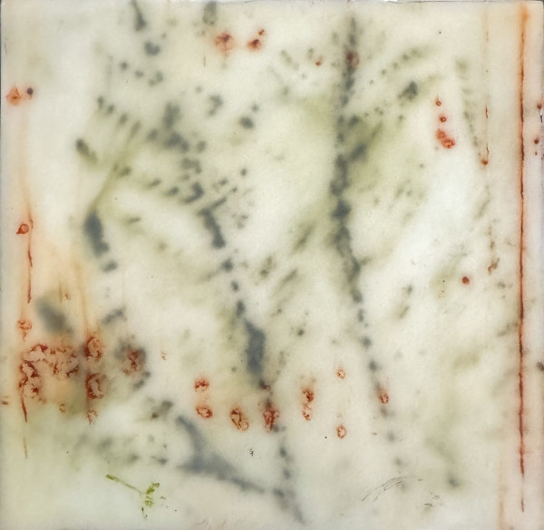 Branches #3 by Lisa Sweo Eul