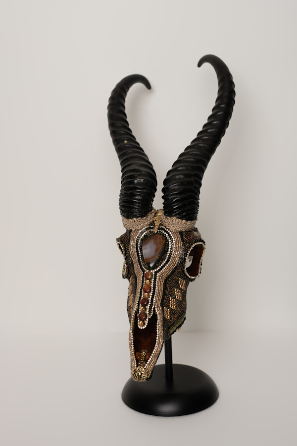 Olympus by Kelly Nygard