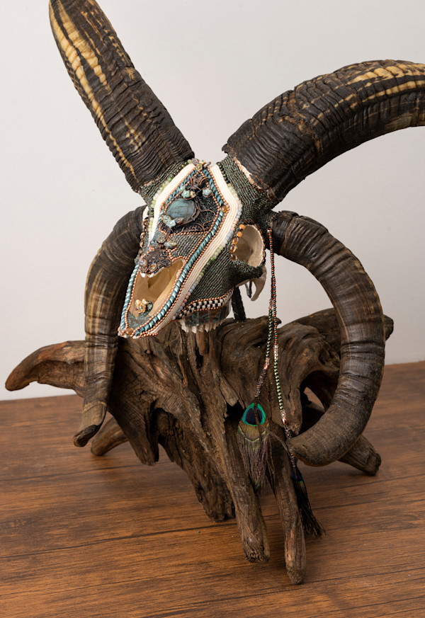Jack by Kelly Nygard