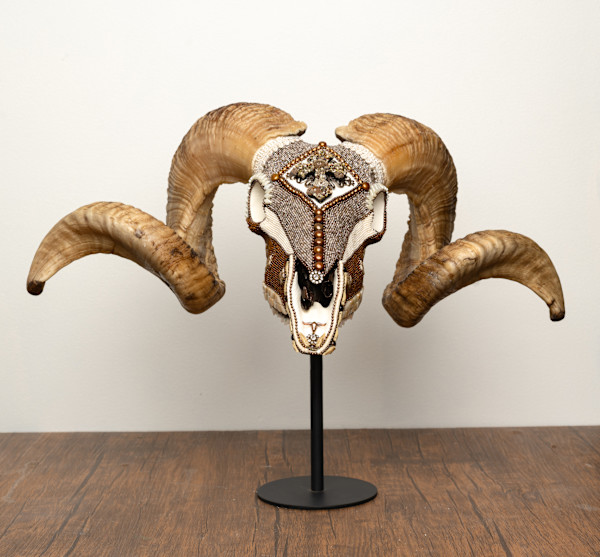 Sancho by Kelly Nygard