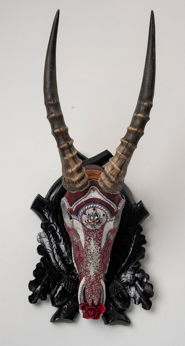 Sirius by Kelly Nygard