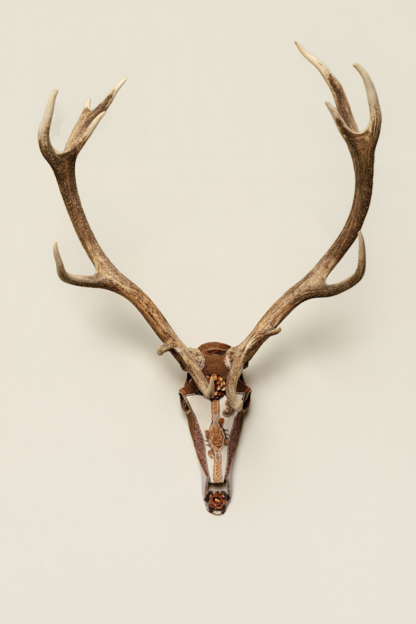 Waagosh by Kelly Nygard