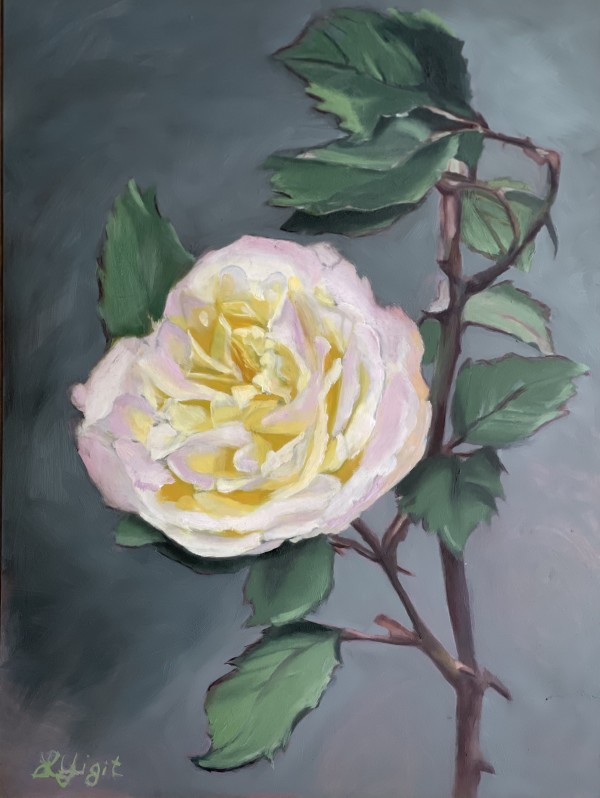 A Rose by Lorraine Yigit