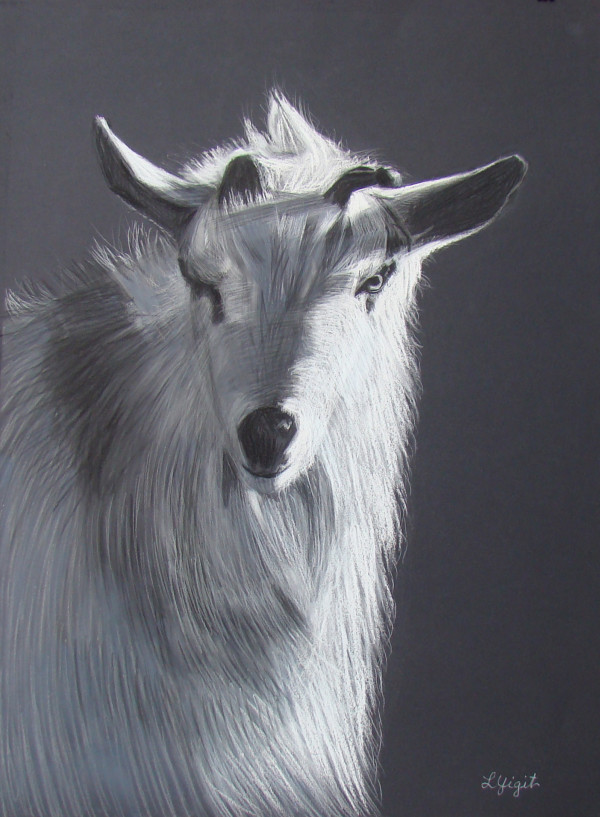 The Goat - Strength, Courage and Independance by Lorraine Yigit