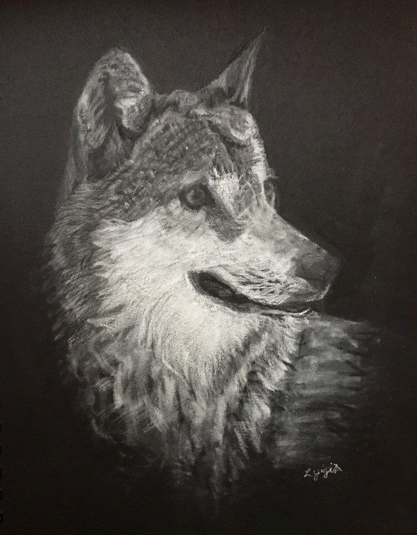 Alert Wolf by Lorraine Yigit
