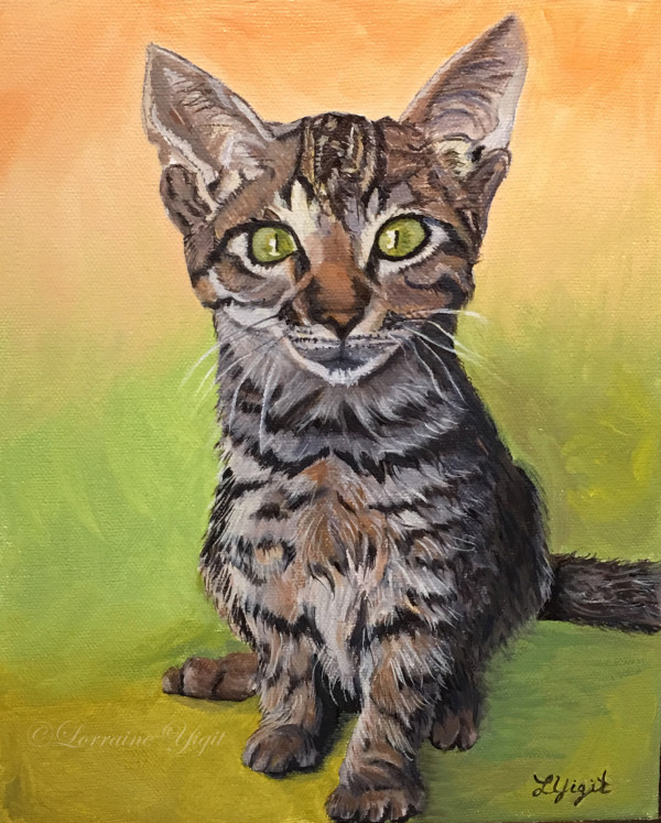 Dieago- the Mexican Kitten by Lorraine Yigit