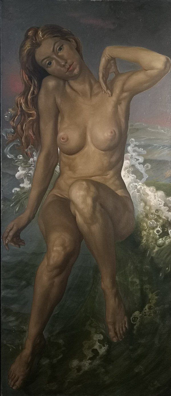 Venus emerging from the sea by Albertus Gerardus Knupker