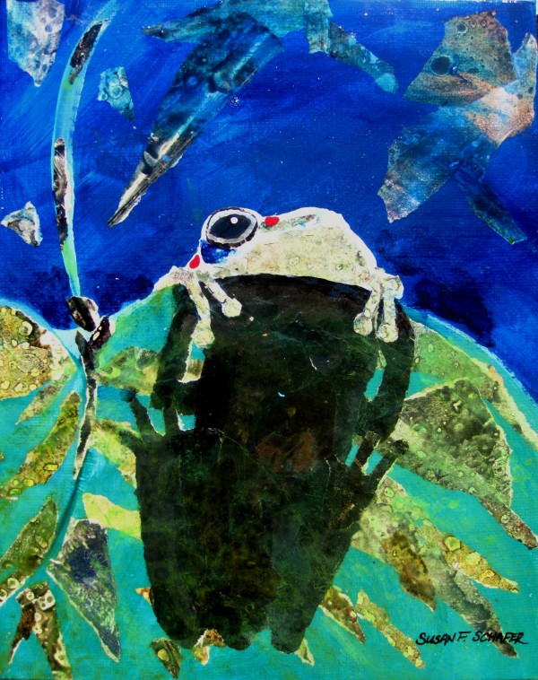 A Treefrog and Its Shadow by Susan F. Schafer