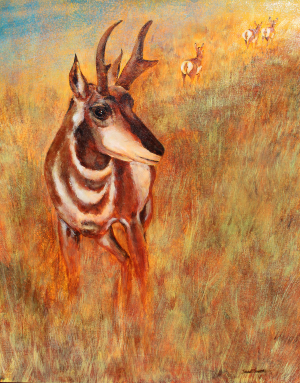 Antelope Twilight by Susan F. Schafer