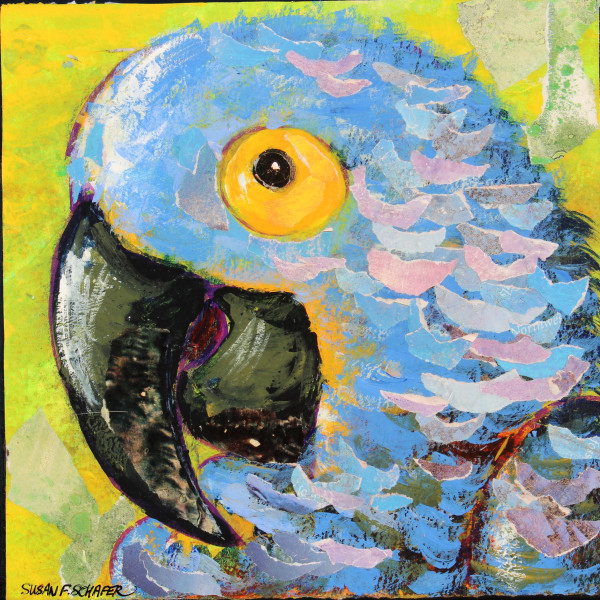 Blue Macaw by Susan F. Schafer