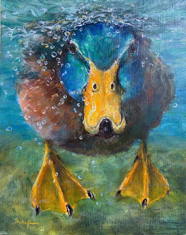 Like A Duck Not Out Of Water by Susan F. Schafer Studio