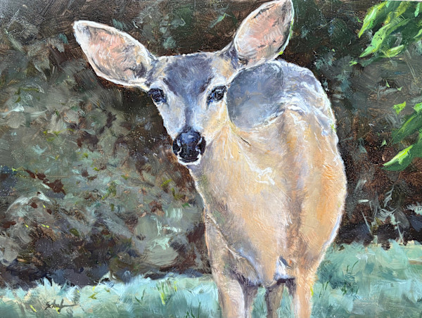 Doe A Deer by Susan F. Schafer, Image 1.