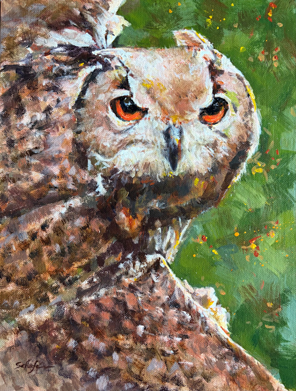 Hoot En Route by Susan F. Schafer, Image 1.