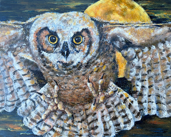 Owl Moon by Susan F. Schafer, Image 1.