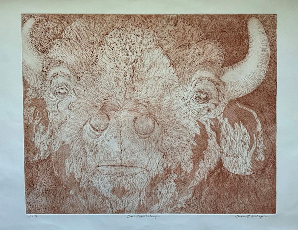 Bison Approaching, u.i. 1/20 by Susan F. Schafer, Image 1.