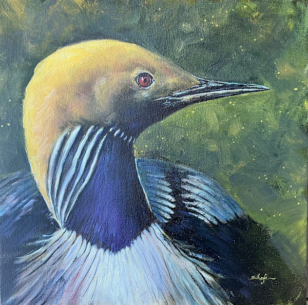 Arctic Loon by Susan F. Schafer, Image 1.