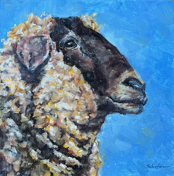 Sir Baa by Susan F. Schafer, Image 1.
