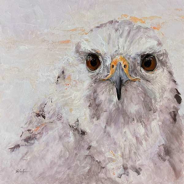 White Hawk by Susan F. Schafer, Image 1.