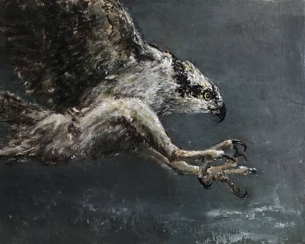 Plunge of the Osprey by Susan F. Schafer Studio