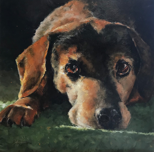 Lounging In Light by Susan F. Schafer Studio