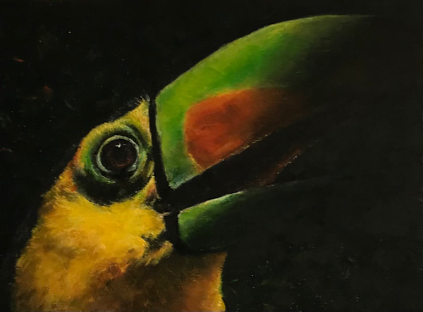 One Toucan by Susan F. Schafer Studio