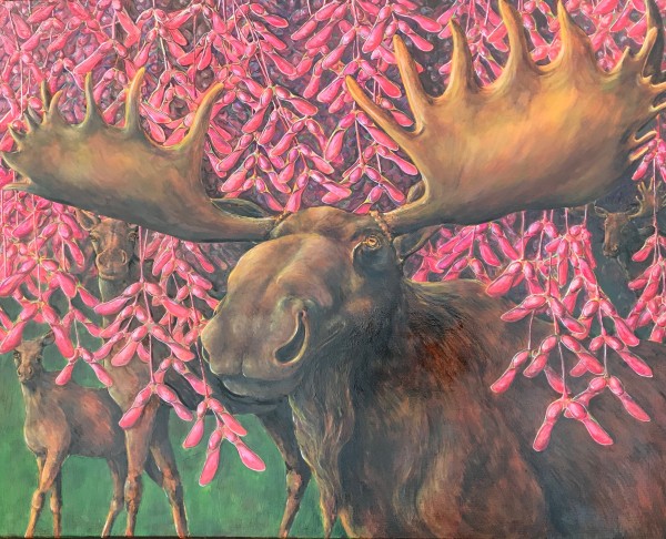 Moose Among the Samaras by Susan F. Schafer