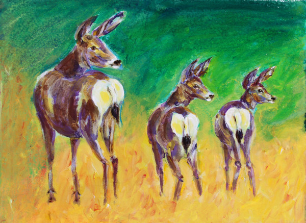 Mule Deer Alert by Susan F. Schafer