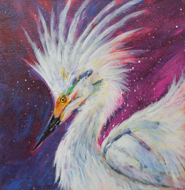Snowy Egret by Susan F. Schafer