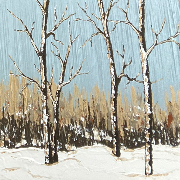 Aspens in the Snow 28 by Tara Novak