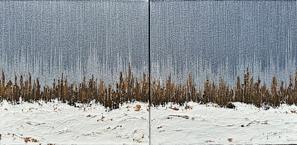Silver Skies 49 - diptych by Tara Austin Novak