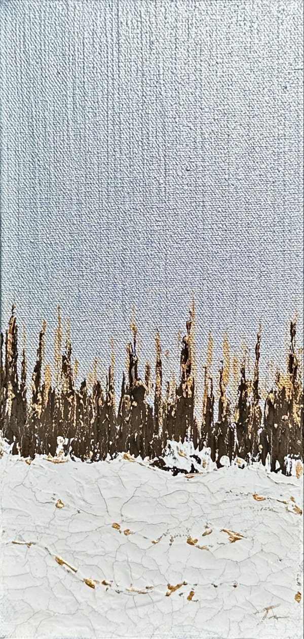Silver Skies - Aspens Series 50 by Tara Austin Novak