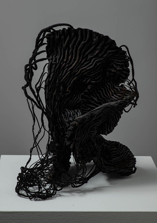 Untitled #21 by Frank Connet