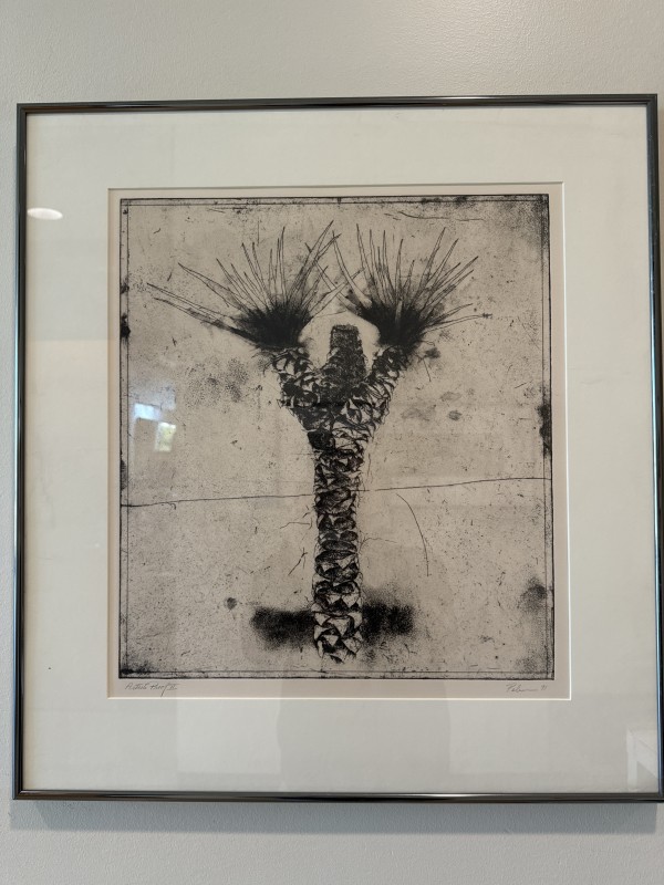 Yucca Tree by Mark Pelnar