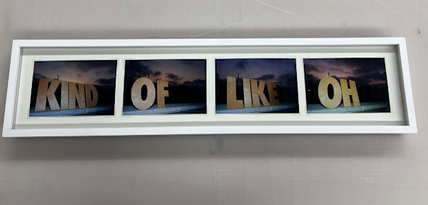 The Words (kind, of, like, oh) by Ken Fandell