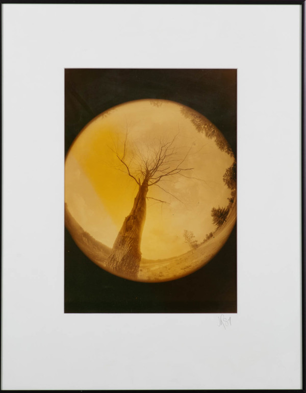 Seen Through the Lens by John Grady