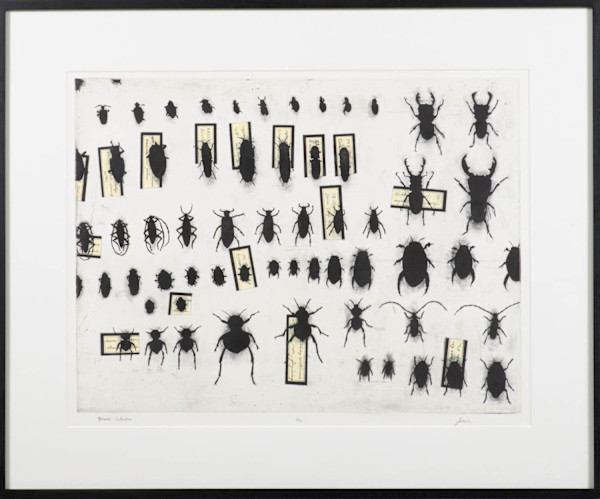 Personal Collection by Joel Peck