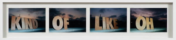 The Words (kind, of, like, oh) by Ken Fandell